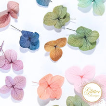 Load image into Gallery viewer, Hydrangea Flowers