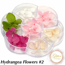 Load image into Gallery viewer, Hydrangea Flowers