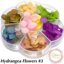 Load image into Gallery viewer, Hydrangea Flowers