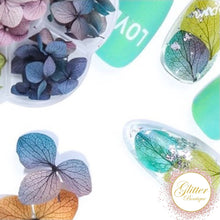 Load image into Gallery viewer, Hydrangea Flowers