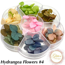 Load image into Gallery viewer, Hydrangea Flowers