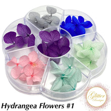Load image into Gallery viewer, Hydrangea Flowers